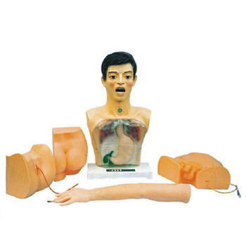  新型基础护理模型 KAR/A