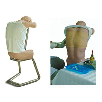  胸腔（背部）穿刺训练模型 KAR/CK812