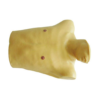  心包穿刺与心内注射训练模型 KAR/CK817