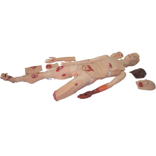  高级创伤模型 KAS-110