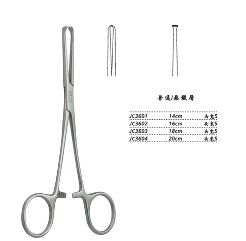 金钟组织钳 普通