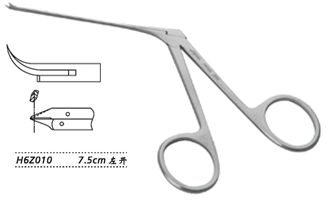 金钟镫骨足弓剪  