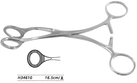 金钟舌钳 H34610