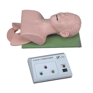  电子人体气管插管训练模型KAR/3