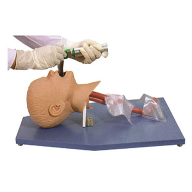  高级儿童气管插管模型KAR/1A