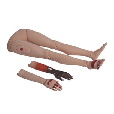  高级创伤四肢模型KAR/G110-4