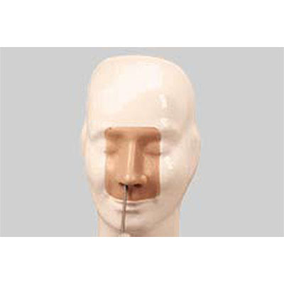  高级鼻腔出血模型KAR/LV17