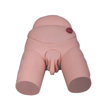  高级男性导尿模型KAR/D3