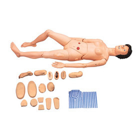 中弘人体模型ZH-122B