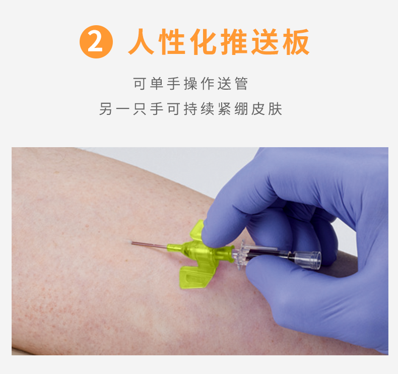 德国贝朗Introcan Safety-W 英全康24G  